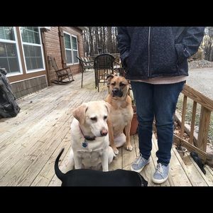 Meet your Posher, Gregory